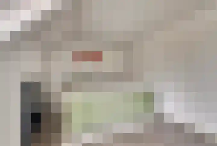 Dorpsweg 42 Wissenkerke thumbnail 15