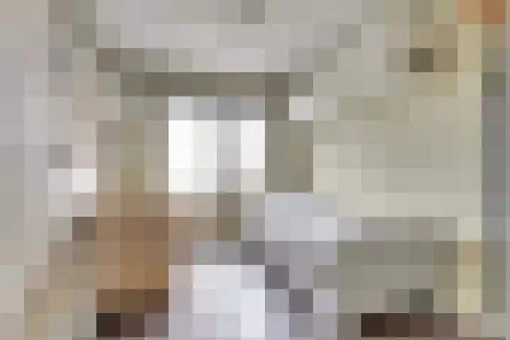 Dorpsweg 42 Wissenkerke thumbnail 16