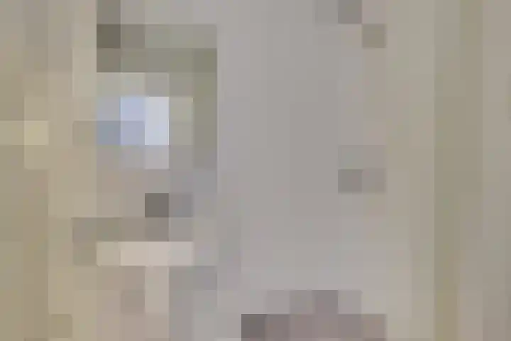 Dorpsweg 42 Wissenkerke thumbnail 18