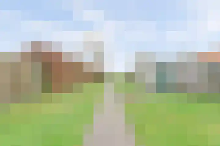 Dorpsweg 42 Wissenkerke thumbnail 22