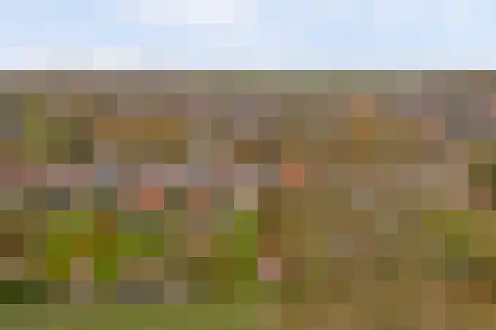Dorpsweg 42 Wissenkerke thumbnail 28