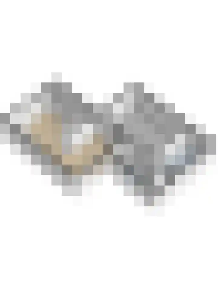 Dorpsweg 42 Wissenkerke thumbnail 31