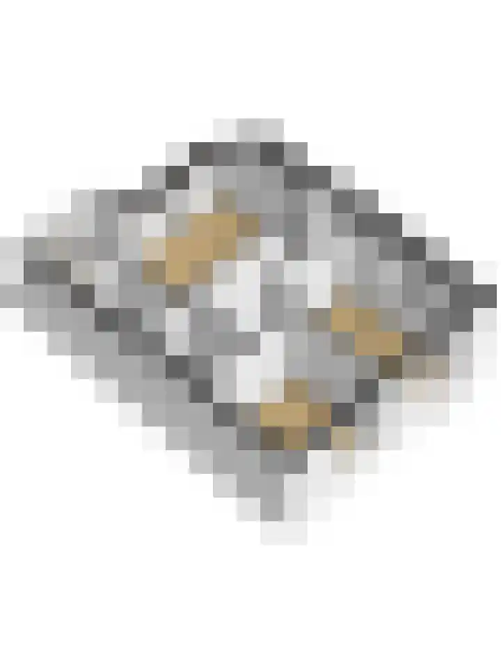 Dorpsweg 42 Wissenkerke thumbnail 33