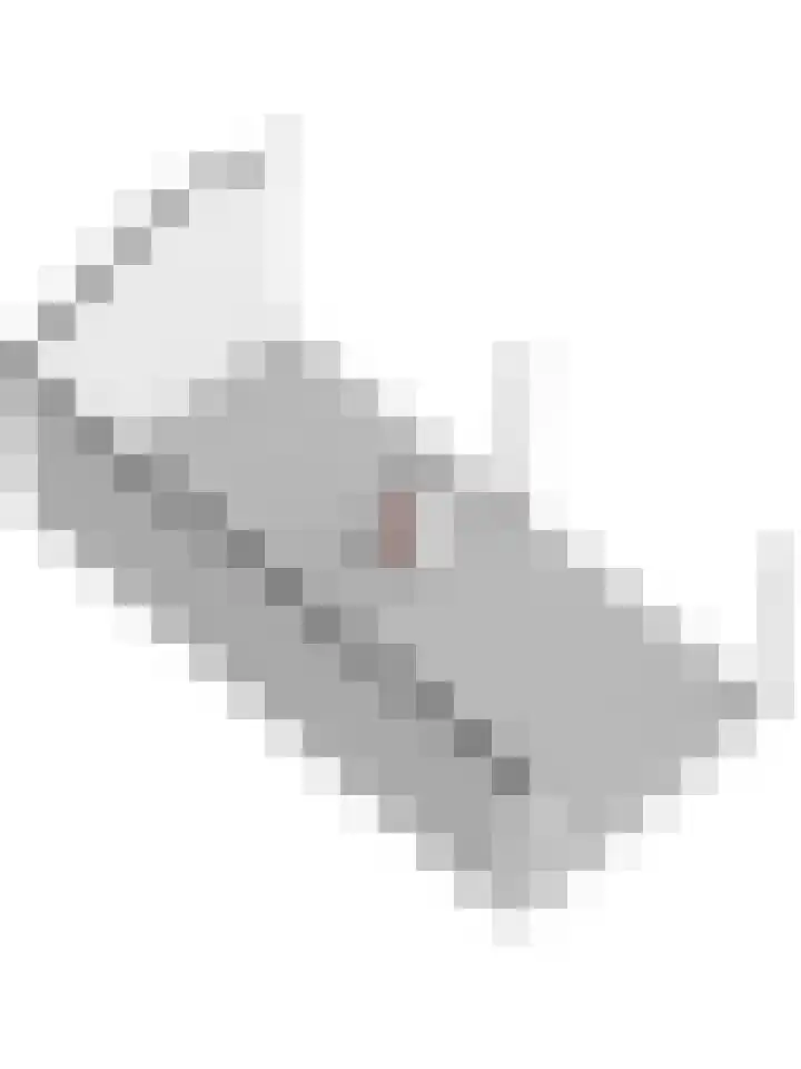 Dorpsweg 42 Wissenkerke thumbnail 37