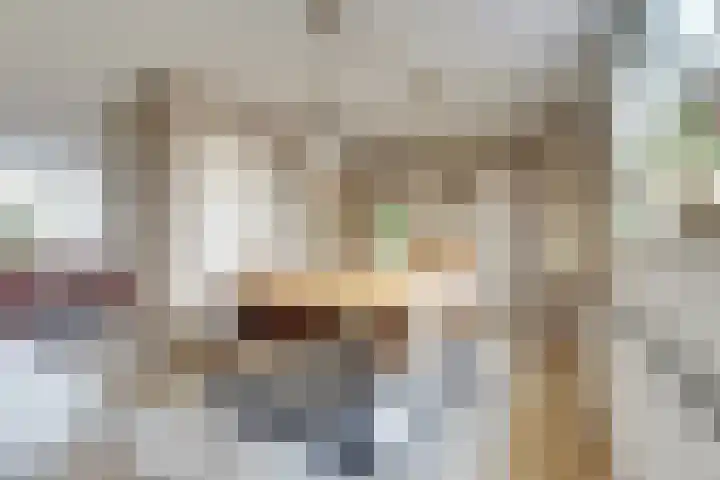 Dorpsweg 42 Wissenkerke thumbnail 8