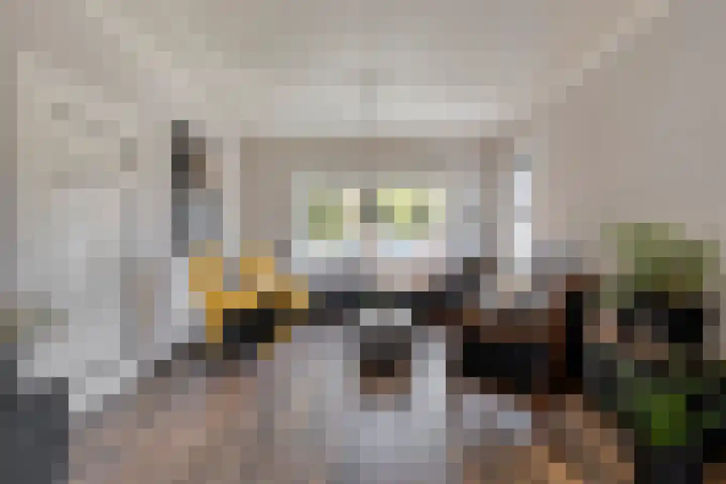 Dorpsweg 43 De Heen thumbnail 12