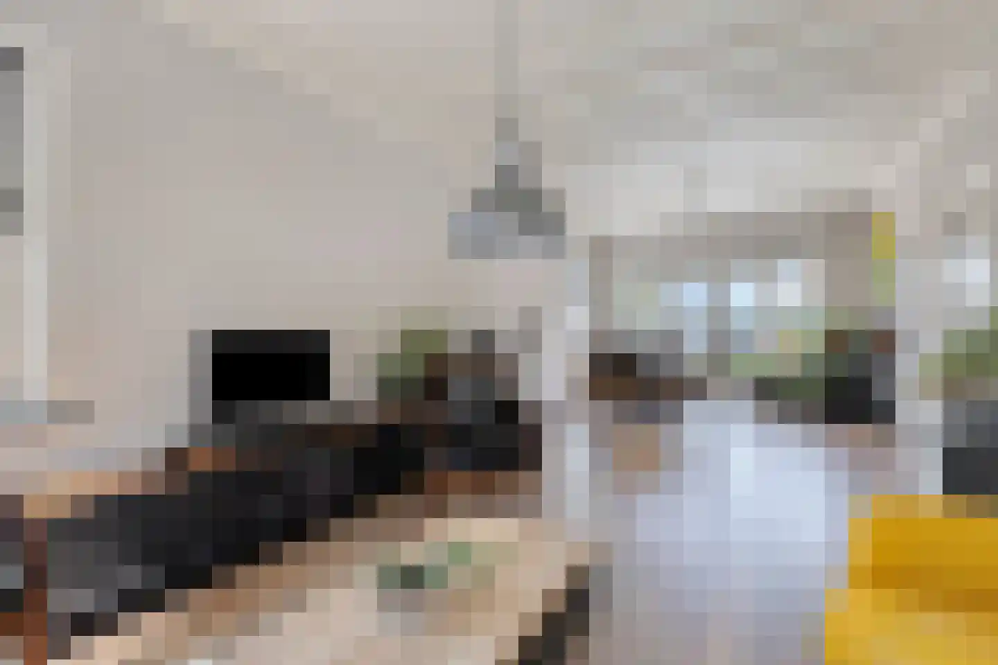 Dorpsweg 43 De Heen thumbnail 15