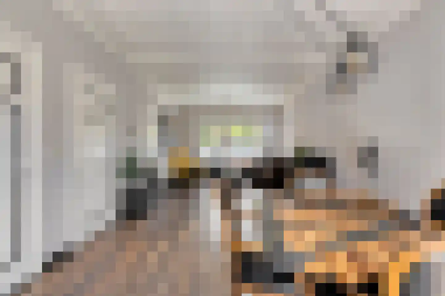 Dorpsweg 43 De Heen thumbnail 19
