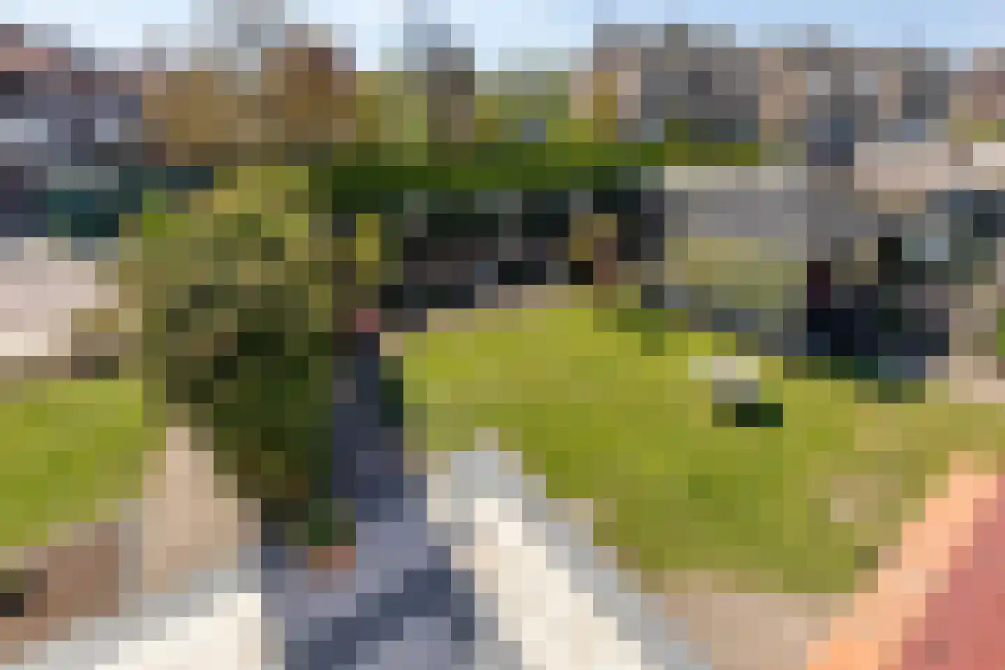 Dorpsweg 43 De Heen thumbnail 46