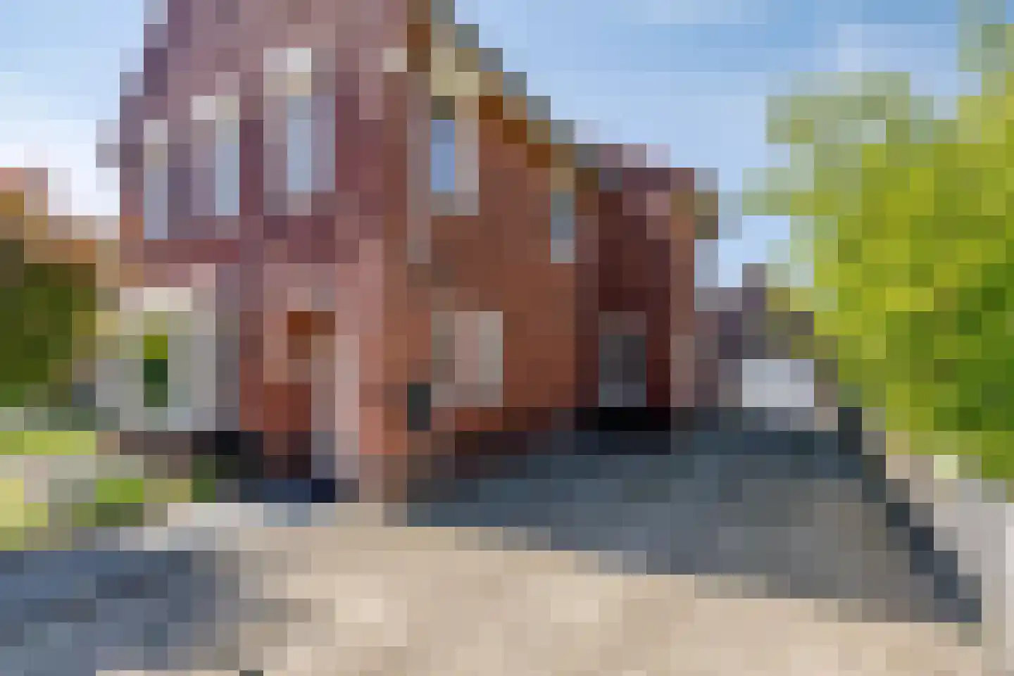 Dorpsweg 43 De Heen thumbnail 68