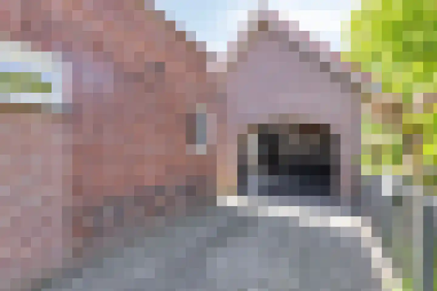 Dorpsweg 43 De Heen thumbnail 69