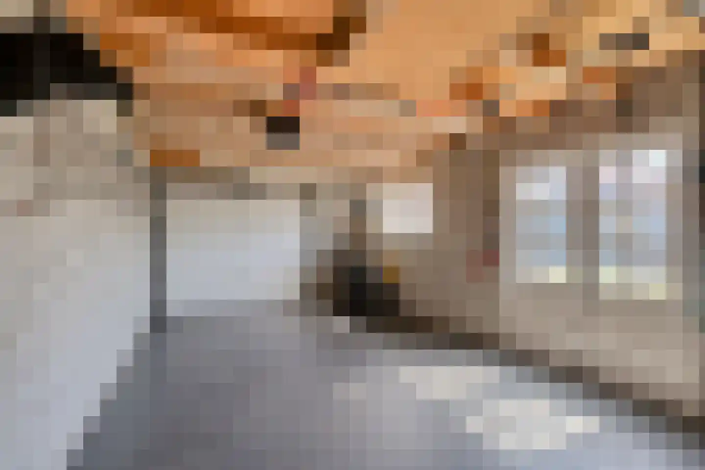 Dorpsweg 43 De Heen thumbnail 70