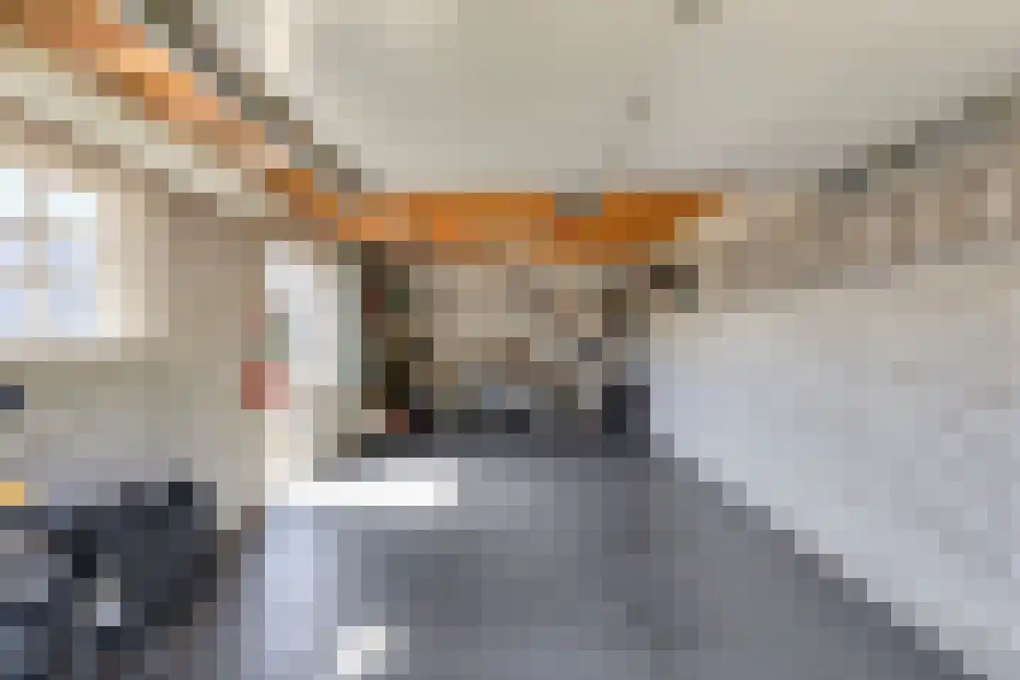 Dorpsweg 43 De Heen thumbnail 71