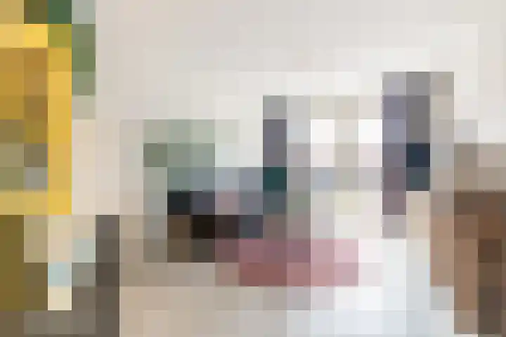 Dorpsweg 43 Rockanje thumbnail 11