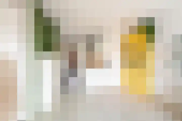 Dorpsweg 43 Rockanje thumbnail 13
