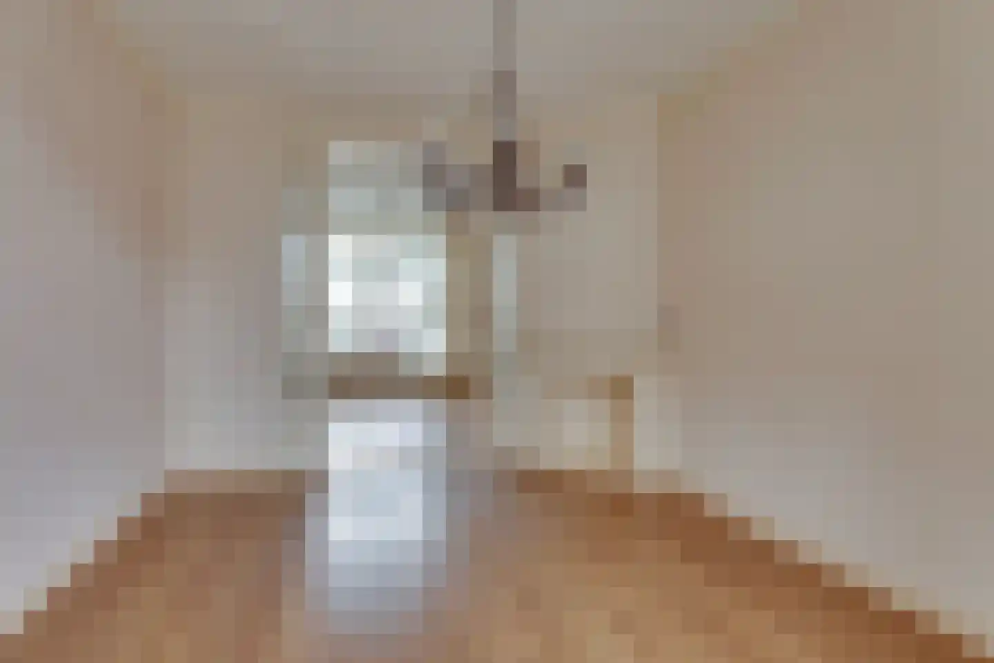 Dorpsweg 46 Wilsum thumbnail 17
