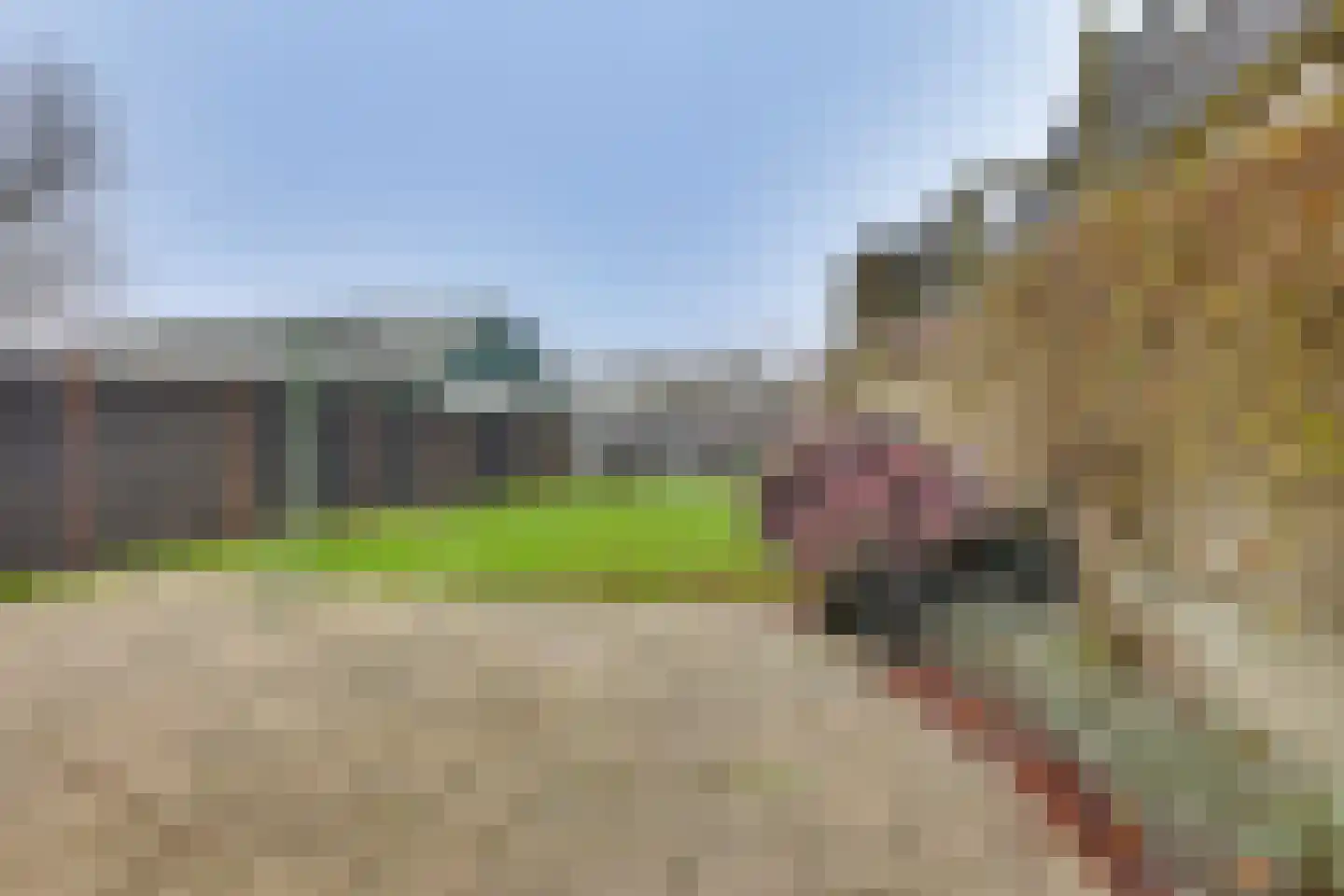 Dorpsweg 46 Wilsum thumbnail 26