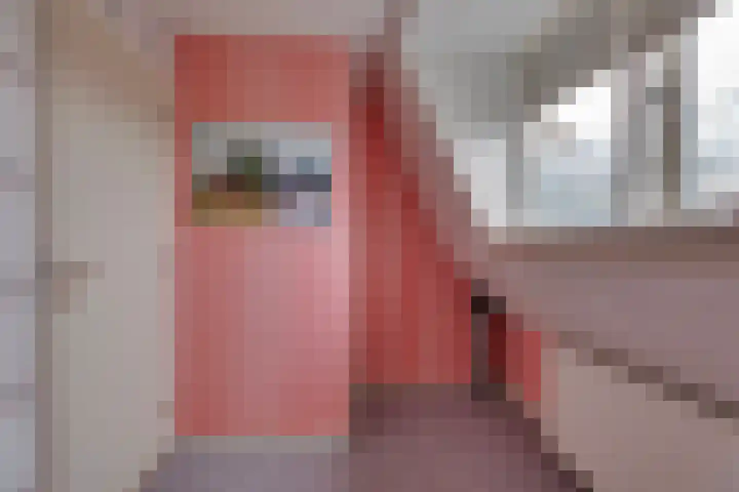 Dorpsweg 46 Wilsum thumbnail 34