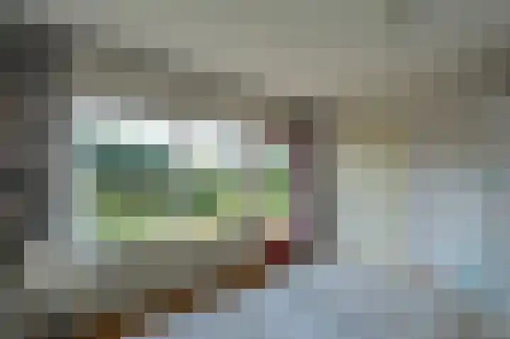 Dorpsweg 48 13 Callantsoog thumbnail 11