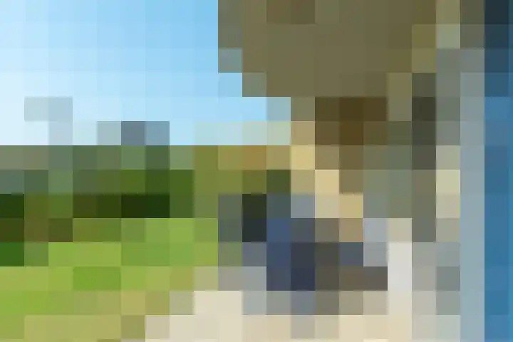 Dorpsweg 48 13 Callantsoog thumbnail 13