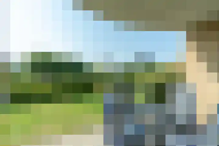 Dorpsweg 48 13 Callantsoog thumbnail 14
