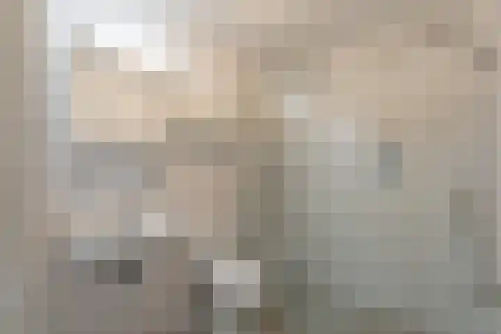 Dorpsweg 48 13 Callantsoog thumbnail 7
