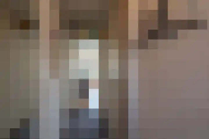Dorpsweg 48 13 Callantsoog thumbnail 8