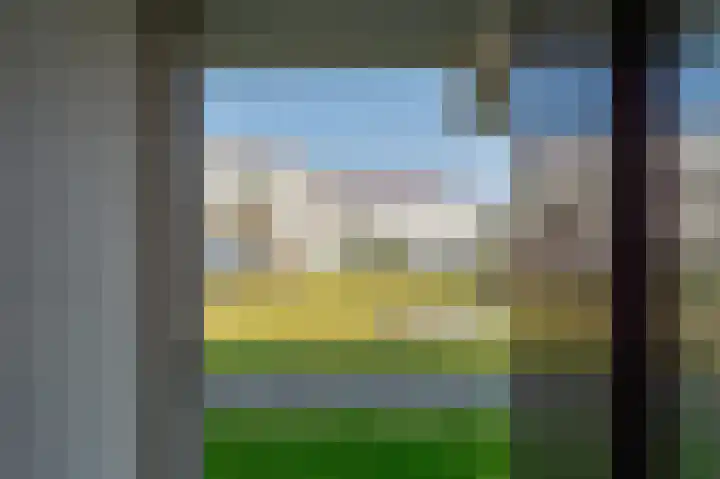 Dorpsweg 48 13 Callantsoog thumbnail 9