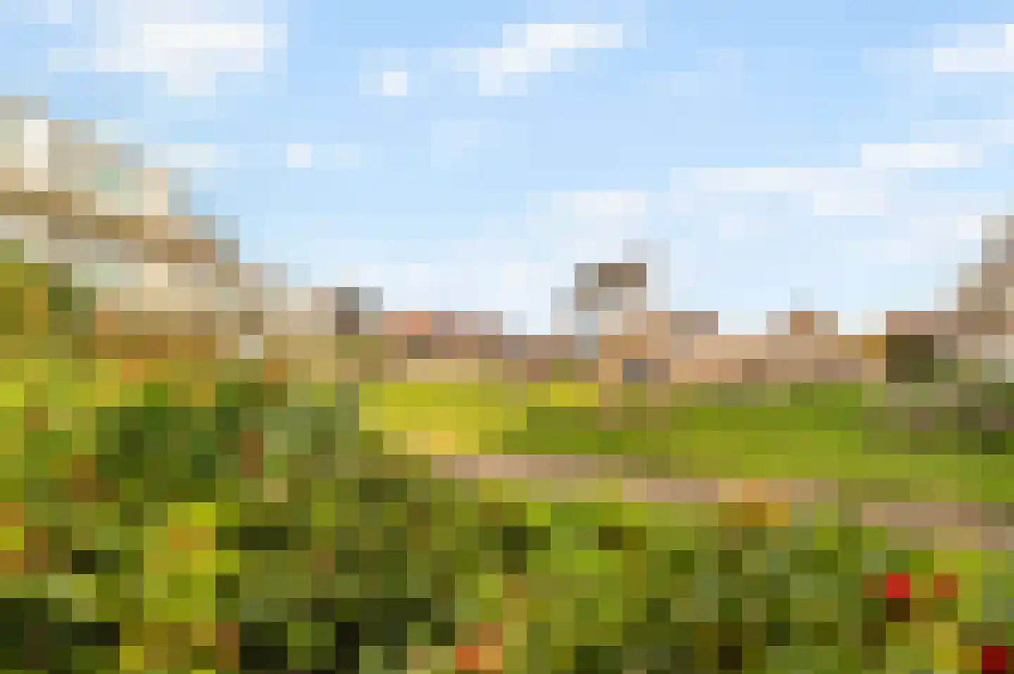 Dorpsweg 48 29 Callantsoog thumbnail 29