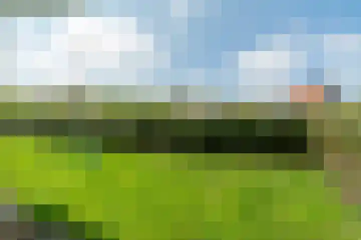 Dorpsweg 48 3 Callantsoog thumbnail 16