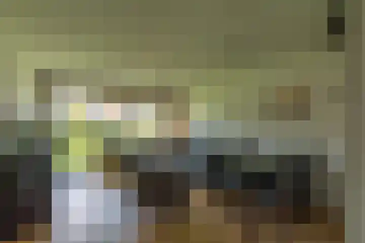 Dorpsweg 48 3 Callantsoog thumbnail 8