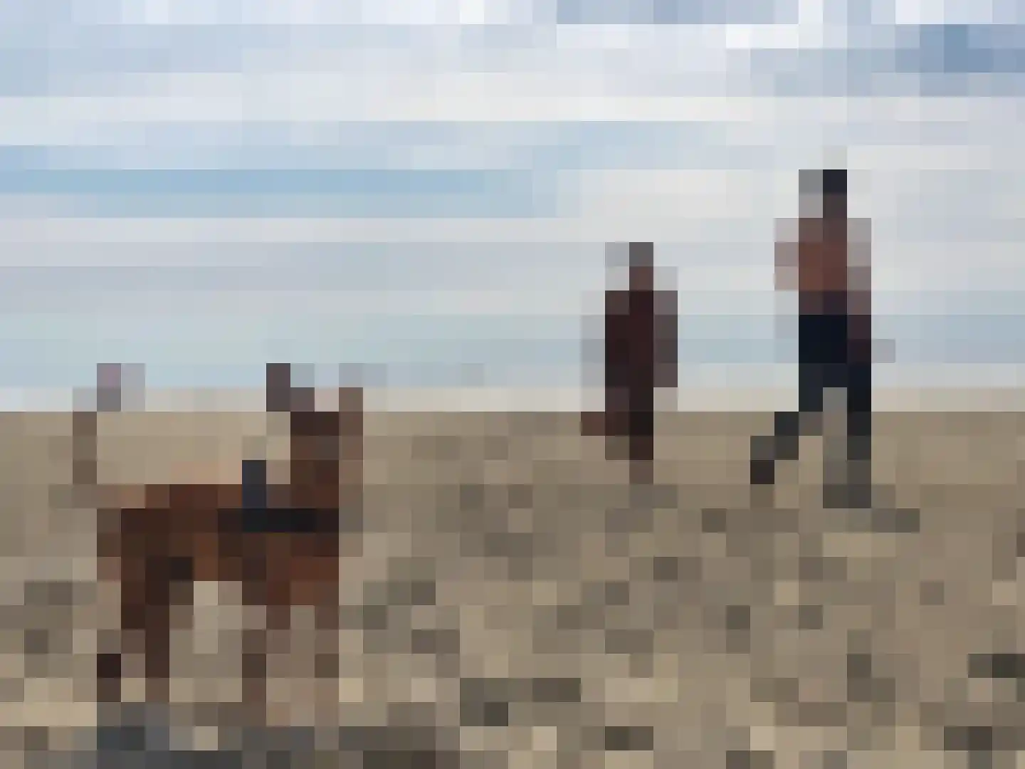 Dorpsweg 48 8 Callantsoog thumbnail 23