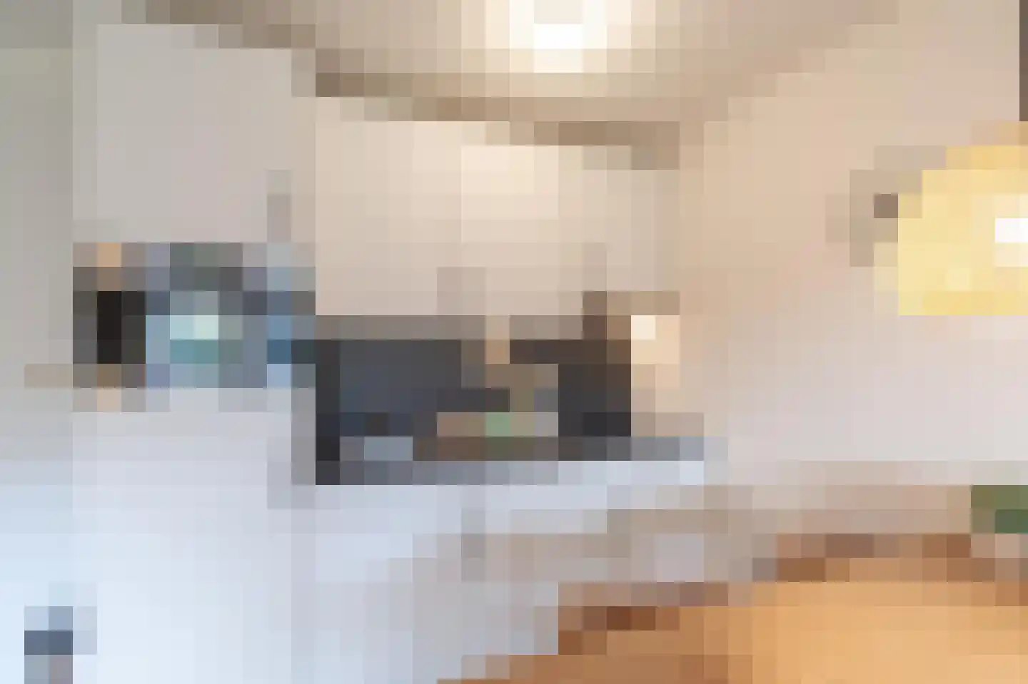 Dorpsweg 48 8 Callantsoog thumbnail 9