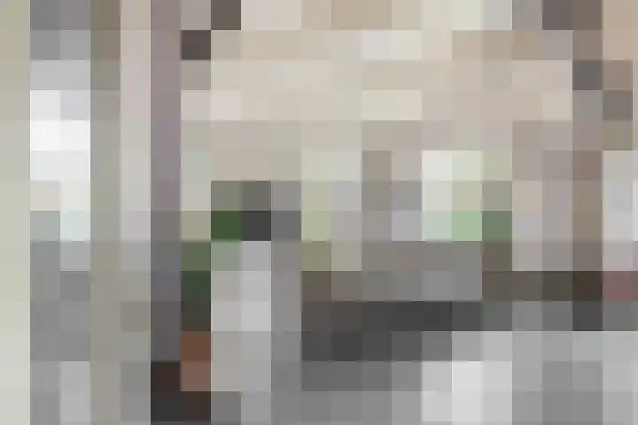 Dorpsweg 48 Ouddorp thumbnail 10