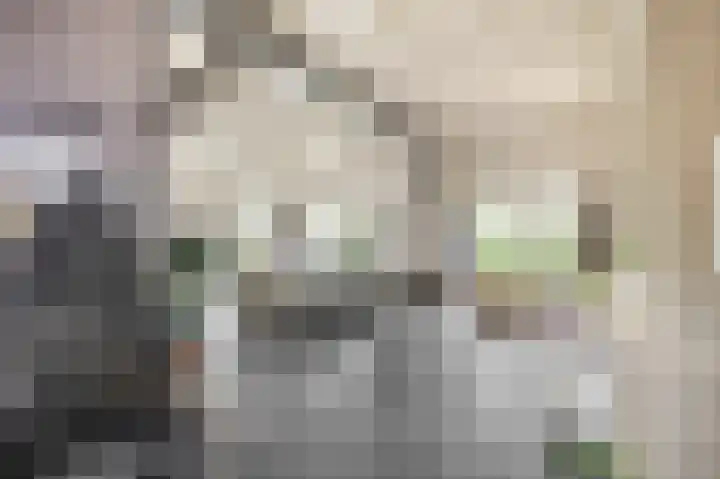 Dorpsweg 48 Ouddorp thumbnail 11