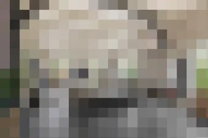 Dorpsweg 48 Ouddorp thumbnail 12