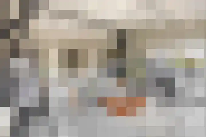 Dorpsweg 48 Ouddorp thumbnail 14