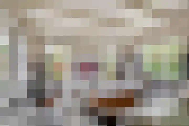 Dorpsweg 48 Ouddorp thumbnail 15