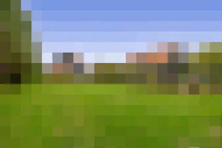 Dorpsweg 48 Ouddorp thumbnail 30