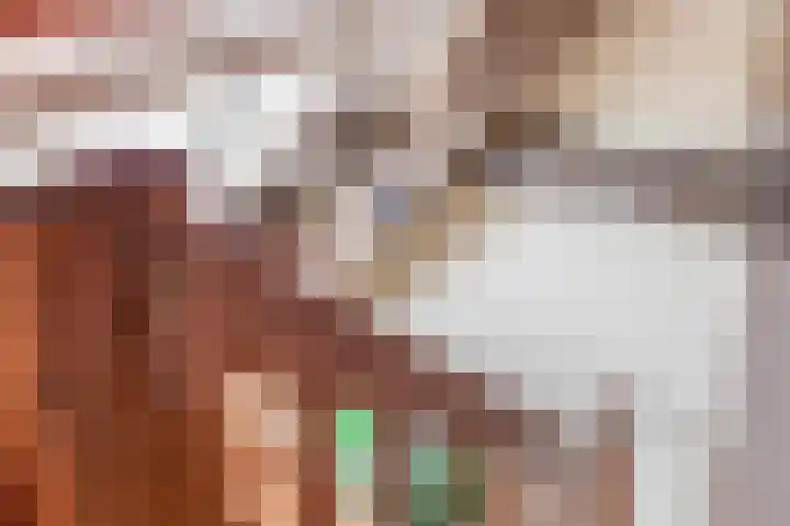 Dorpsweg 48 Ouddorp thumbnail 43