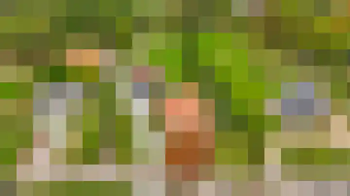 Dorpsweg 48 Ouddorp thumbnail 57