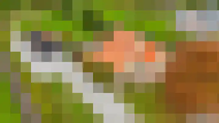 Dorpsweg 48 Ouddorp thumbnail 58