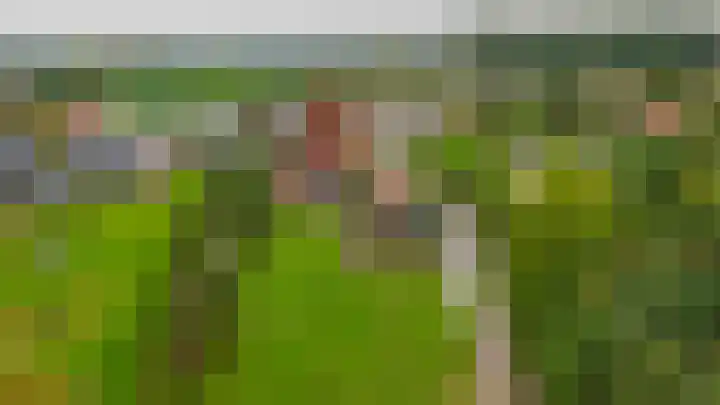 Dorpsweg 48 Ouddorp thumbnail 59