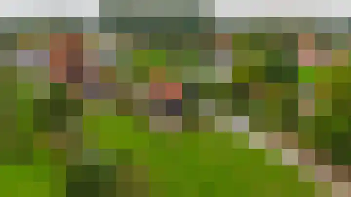 Dorpsweg 48 Ouddorp thumbnail 61