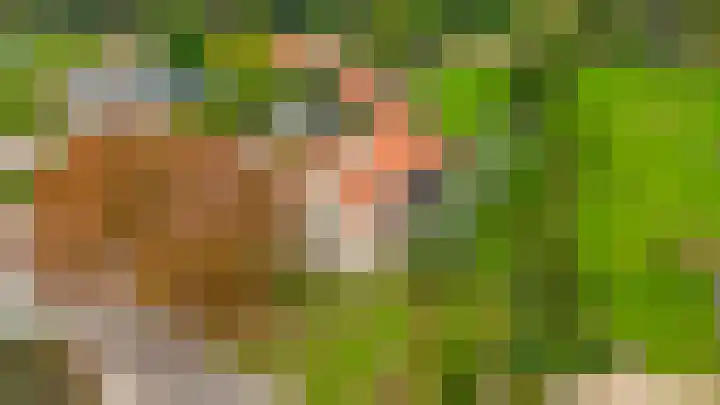 Dorpsweg 48 Ouddorp thumbnail 68