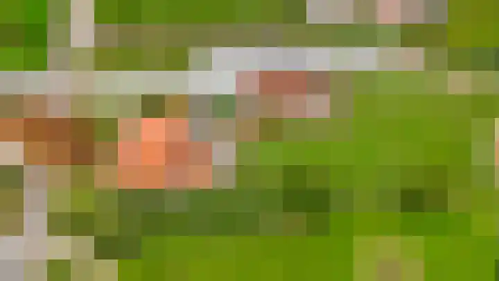Dorpsweg 48 Ouddorp thumbnail 69