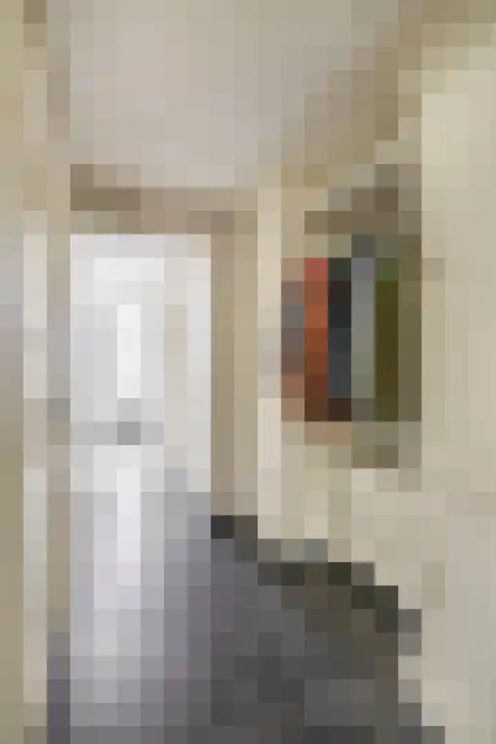Dorpsweg 48 Ouddorp thumbnail 73