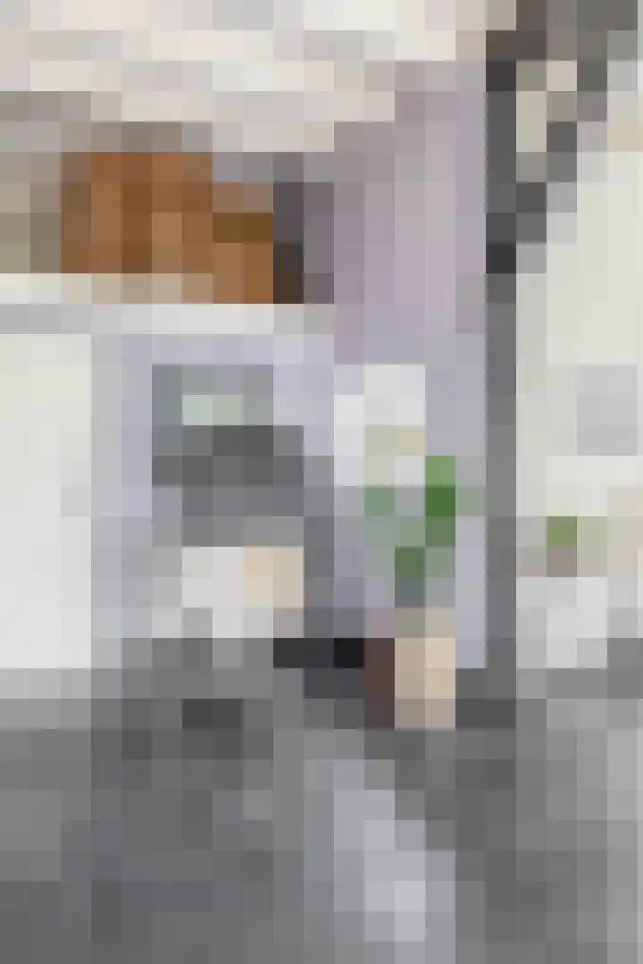 Dorpsweg 48 Ouddorp thumbnail 75