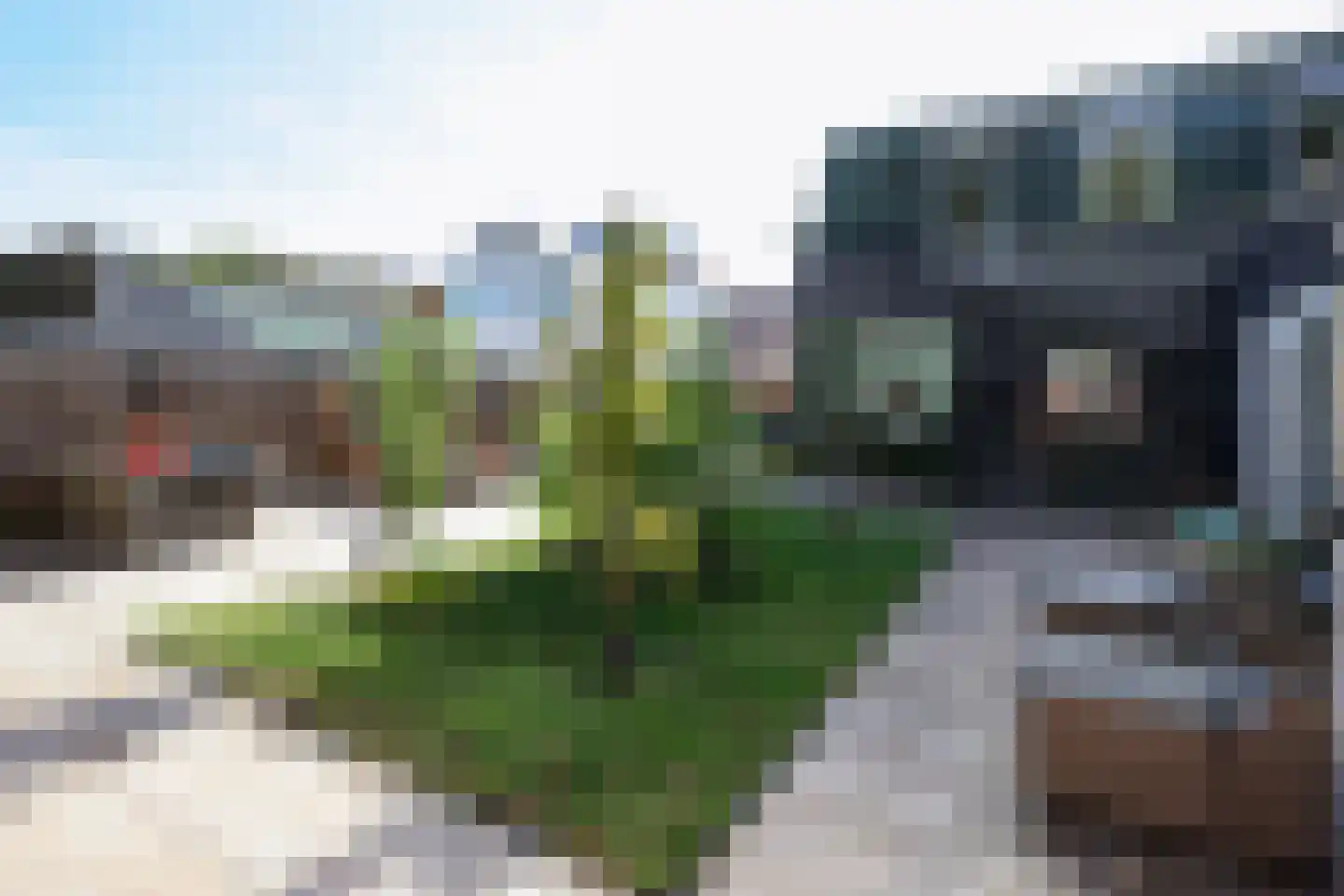 Dorpsweg 48 Rockanje thumbnail 13