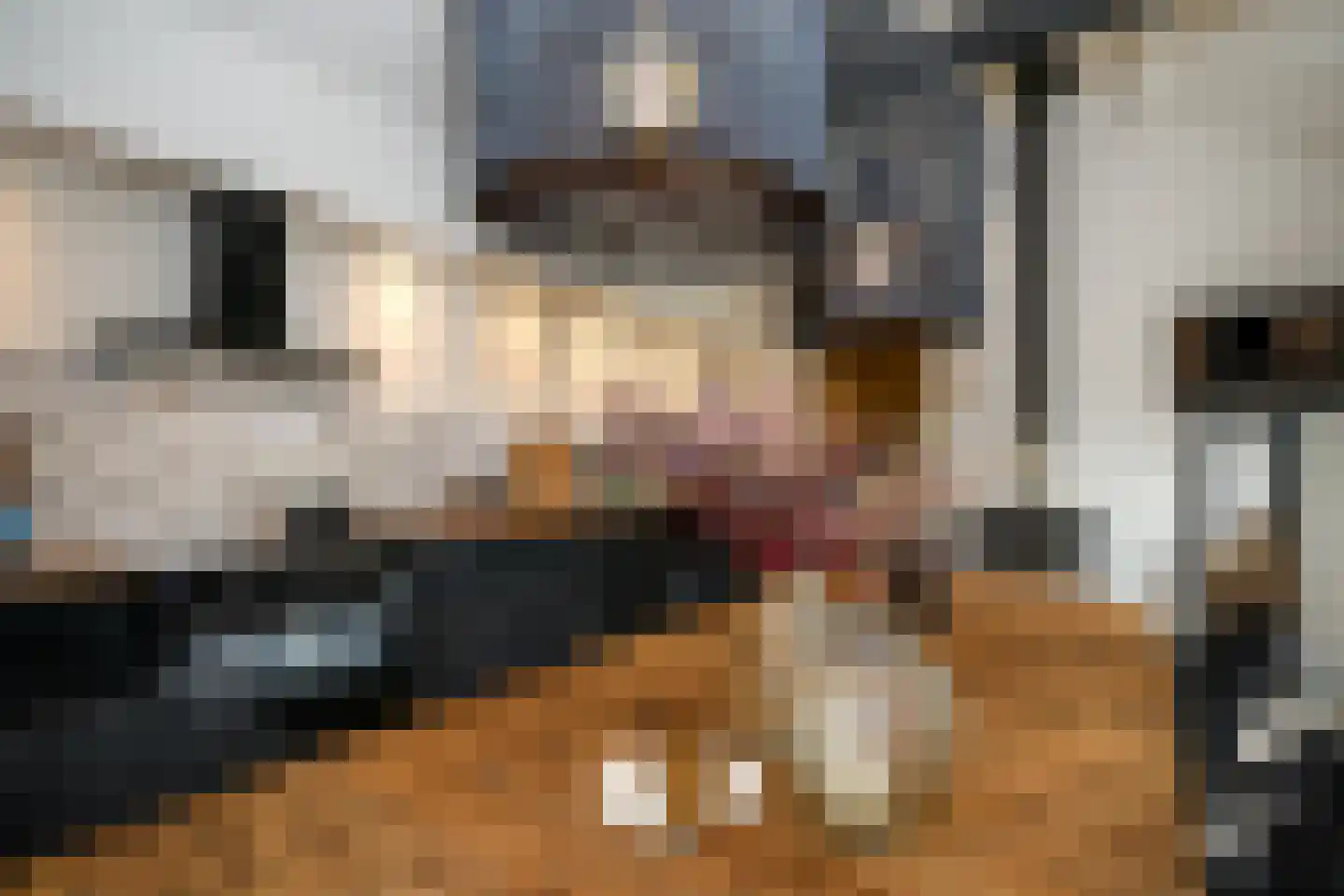 Dorpsweg 48 Rockanje thumbnail 29